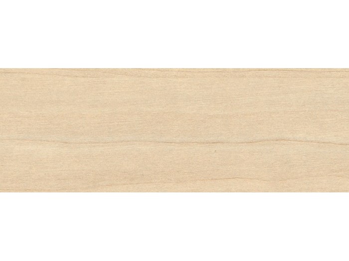 Крайка ABS  Береза піщана Н1732 ST9 23*0,8 мм Egger  