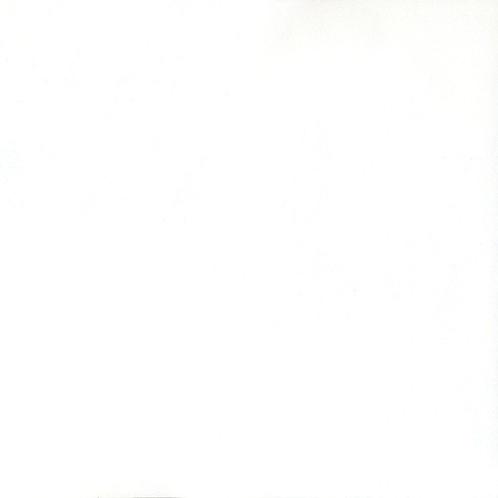 ДСП Egger W980 SМ Білий платиновий   10*2800*2070